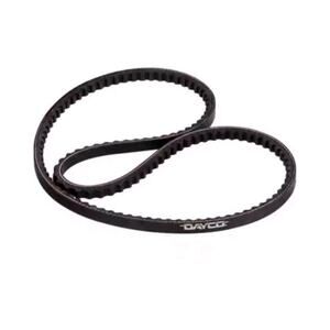 Accessory Drive Belt-VIN: 8 Dayco 15540 #P1